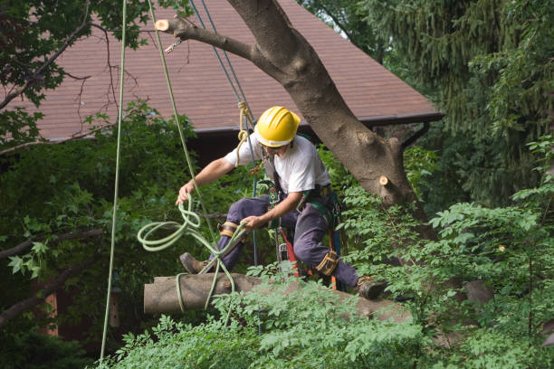 Soil Testing and Treatment in Russell, PA